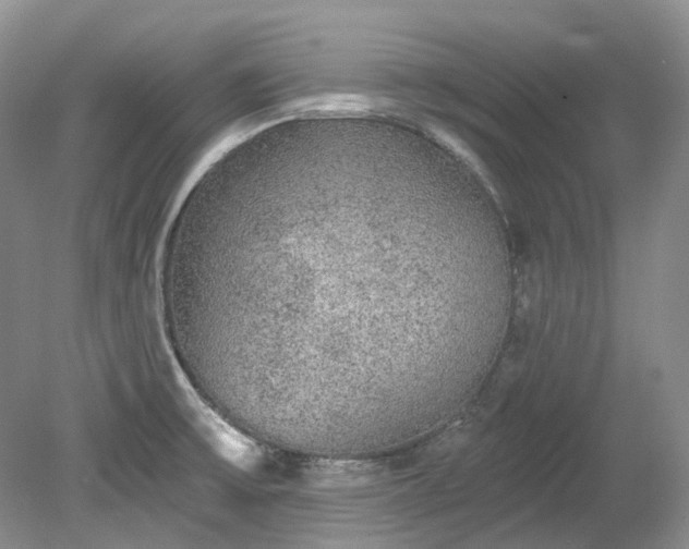 X0000078281475200611101121