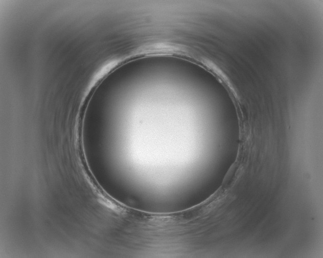 X0000078281477200611101121