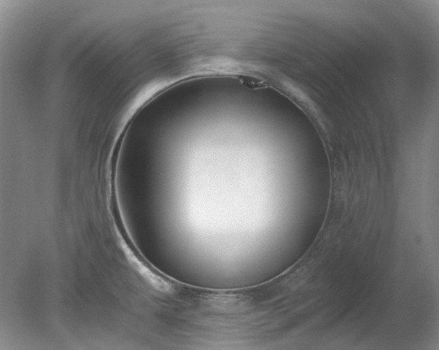 X0000078281479200611101120