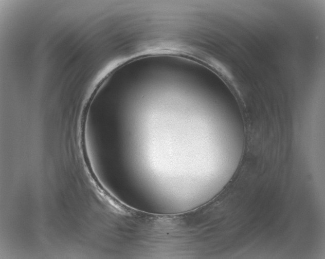 X0000078281480200611101120