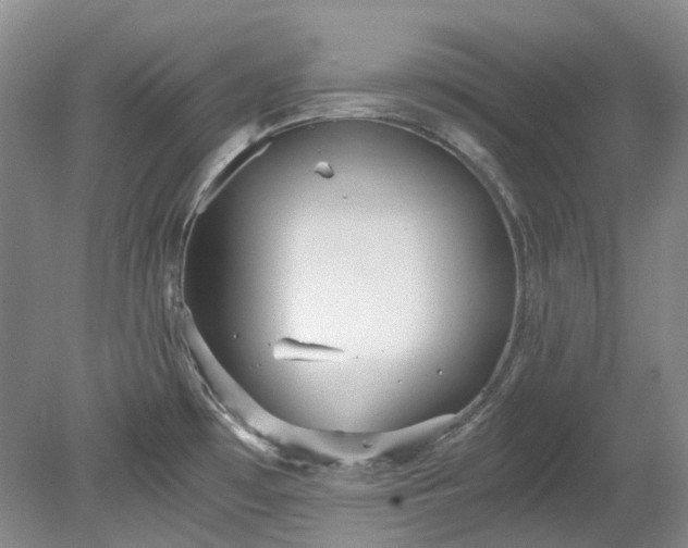 X0000078281481200611101120