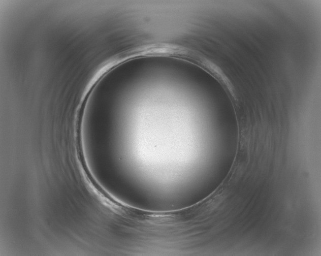 X0000078281483200611101120