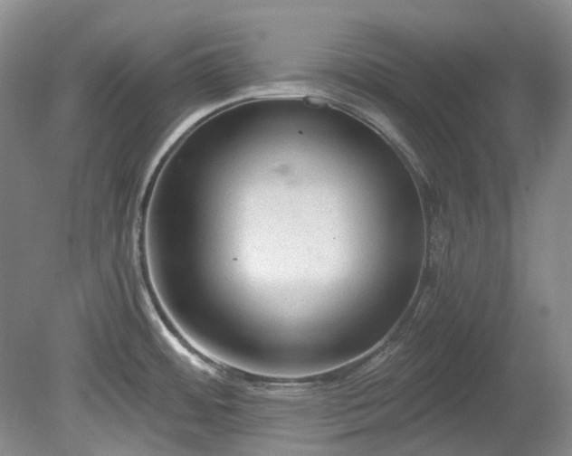 X0000078281484200611101120