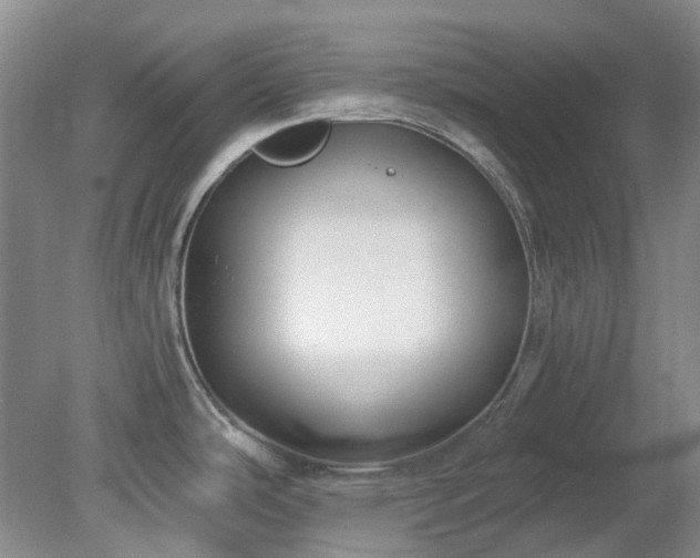 X0000078281486200611101120