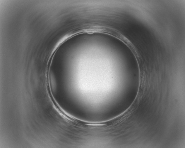 X0000078281487200611101120