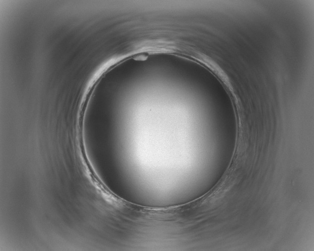 X0000078281488200611101120