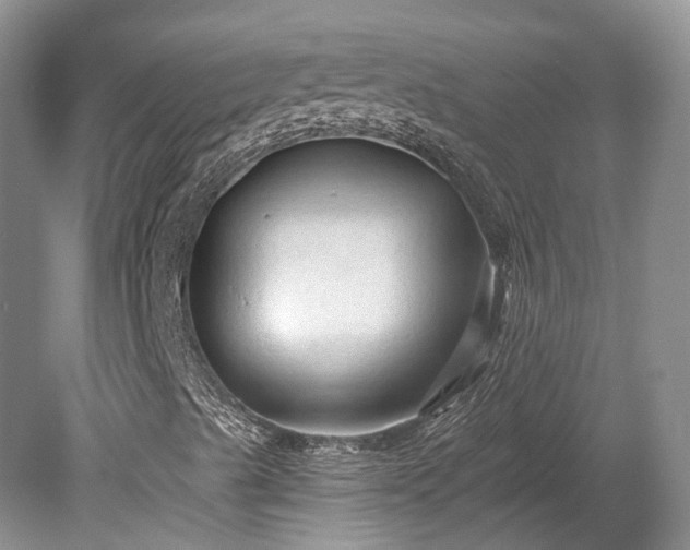 X0000078281489200611101120