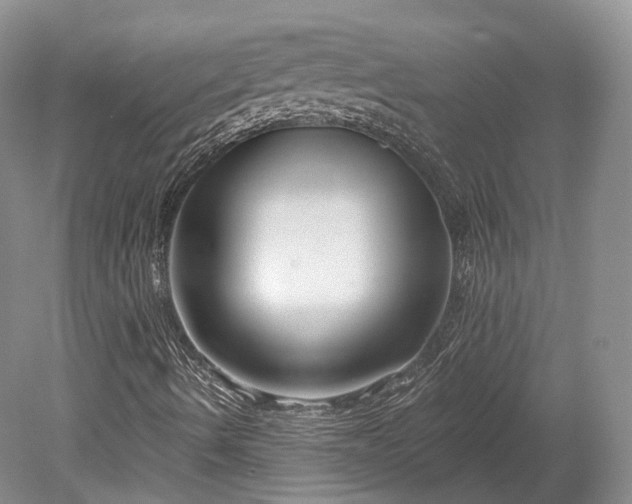 X0000078281490200611101120