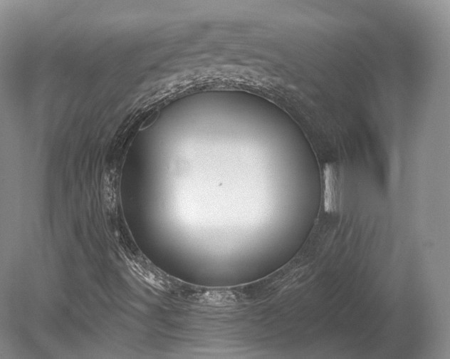 X0000078281491200611101120