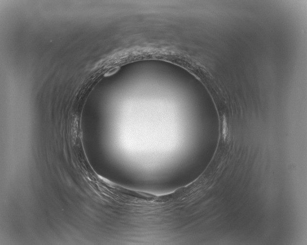 X0000078281492200611101120