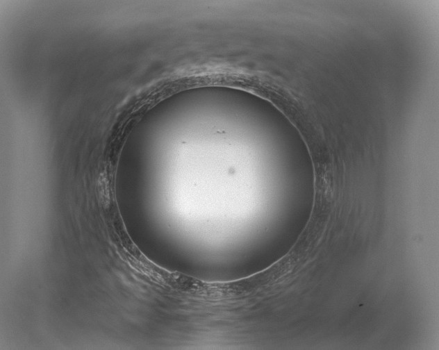 X0000078281493200611101120