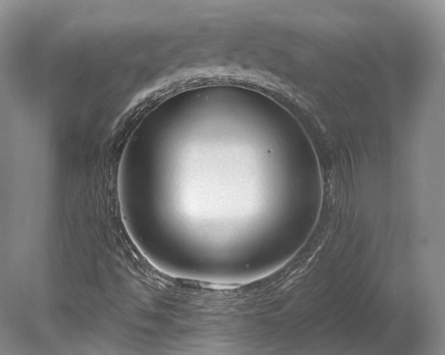 X0000078281494200611101120