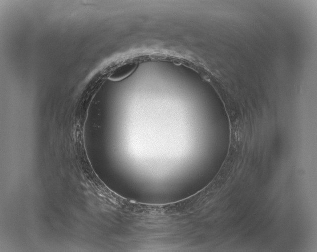 X0000078281495200611101120