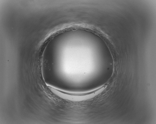 X0000078281496200611101120