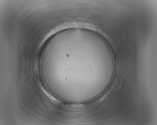 X0000078281498200611101120