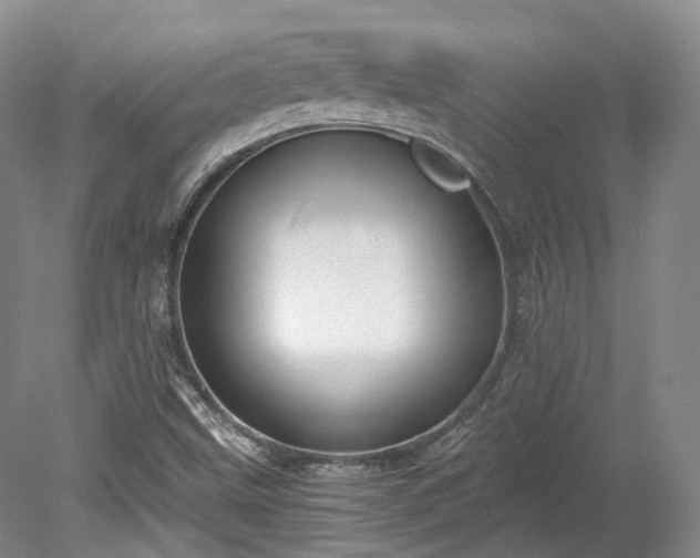 X0000078281499200611101120