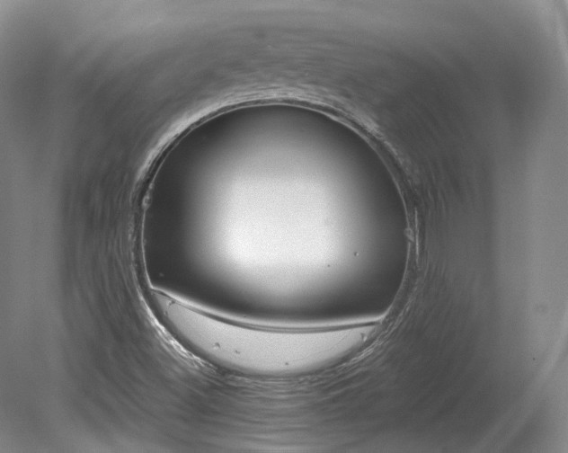 X0000078281500200611101120