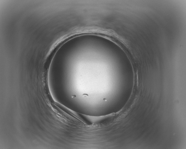 X0000078281501200611101120