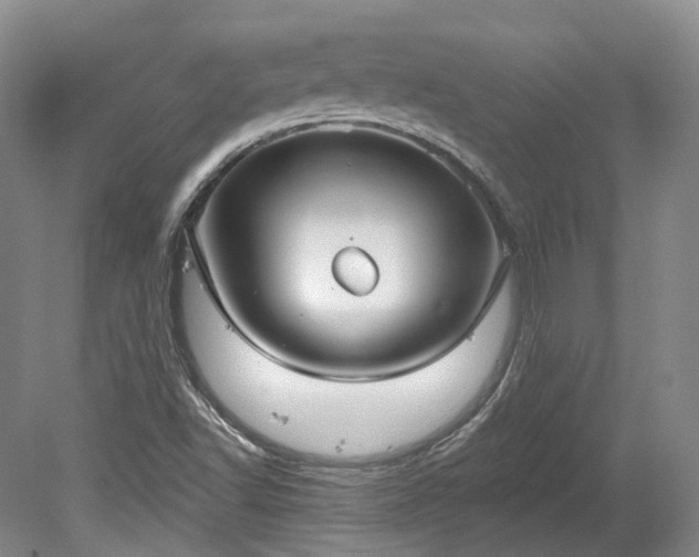 X0000078281502200611101120