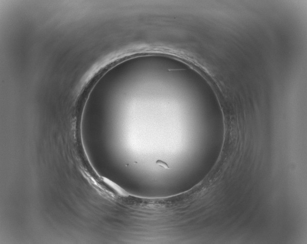 X0000078281503200611101120