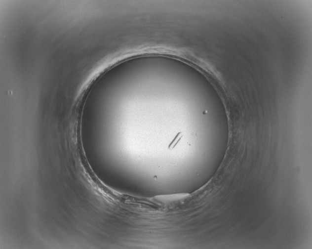 X0000078281504200611101120