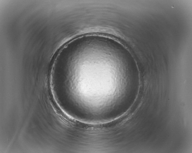 X0000078281505200611101120