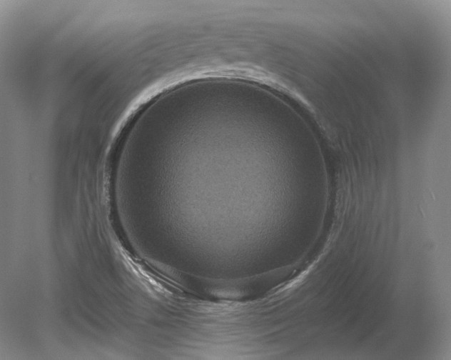 X0000078281506200611101120