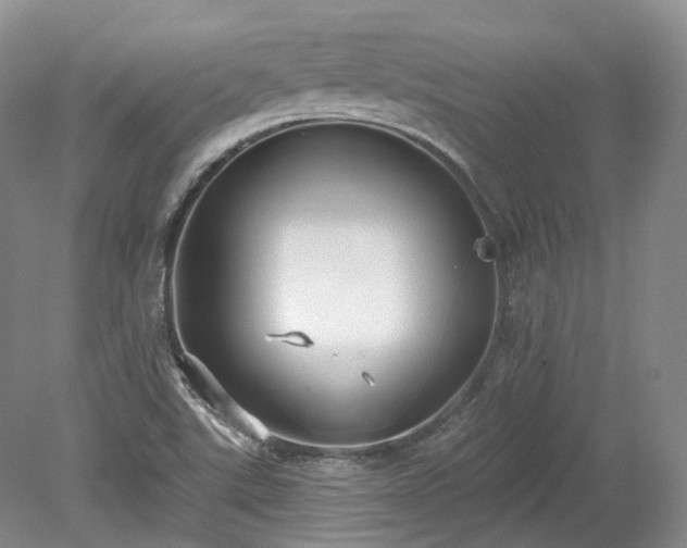 X0000078281507200611101120