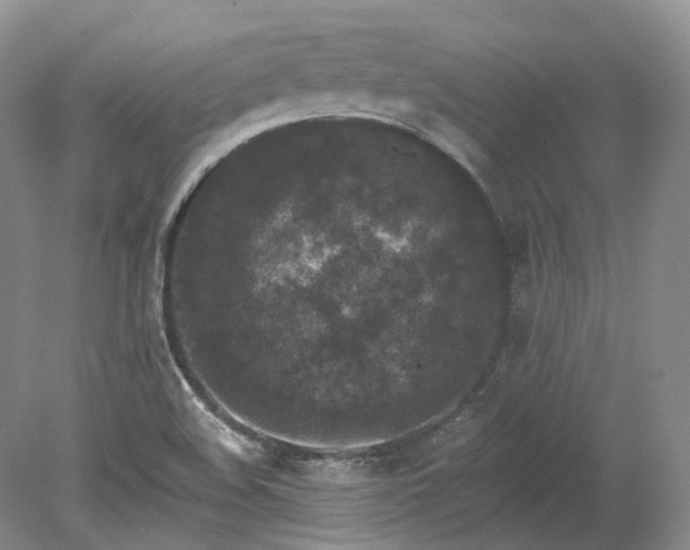 X0000078281508200611101120