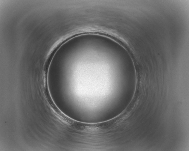 X0000078281509200611101120