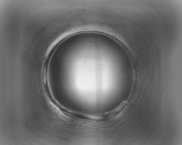 X0000078281510200611101120