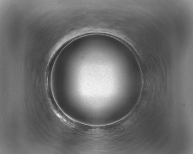 X0000078281511200611101120