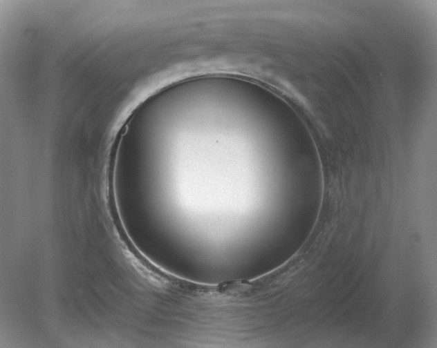 X0000078281512200611101120