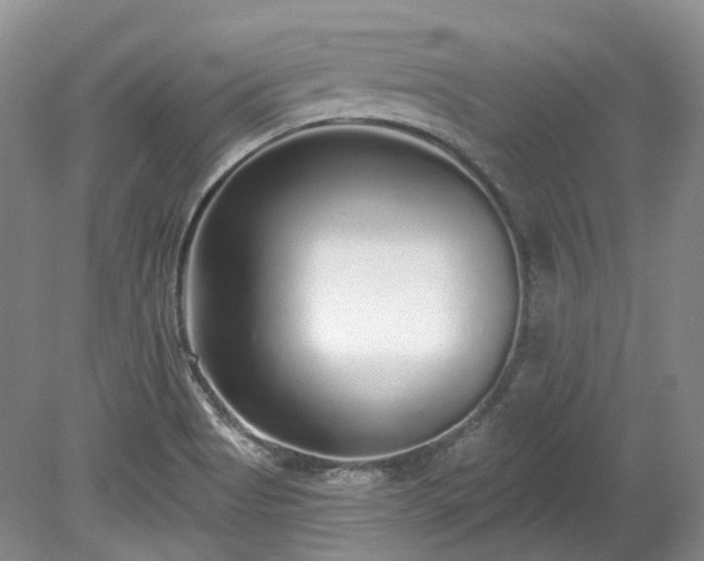 X0000078281513200611101120