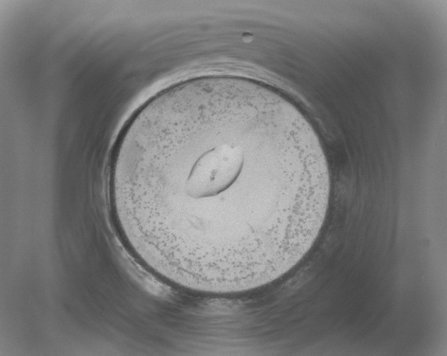 X0000078281514200611101120