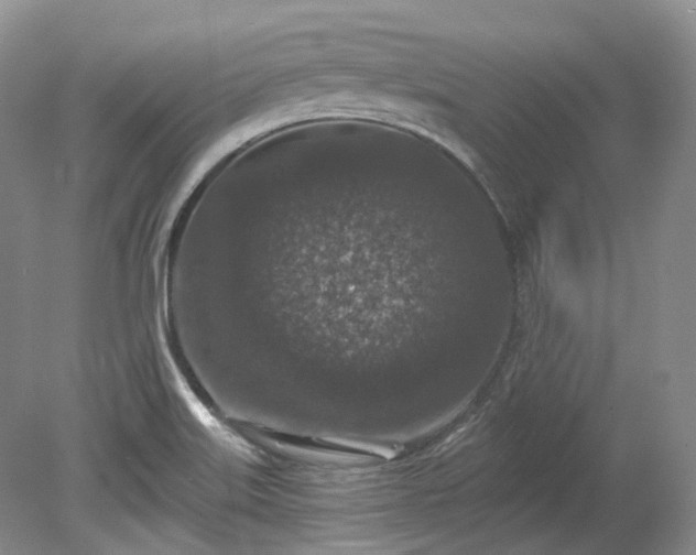 X0000078281515200611101120