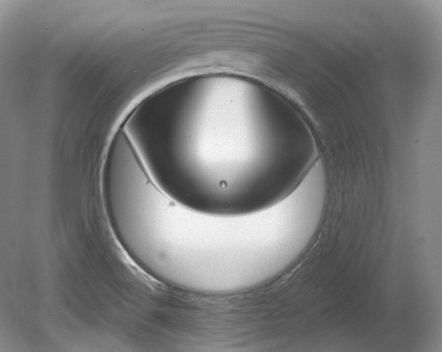 X0000078281516200611101120