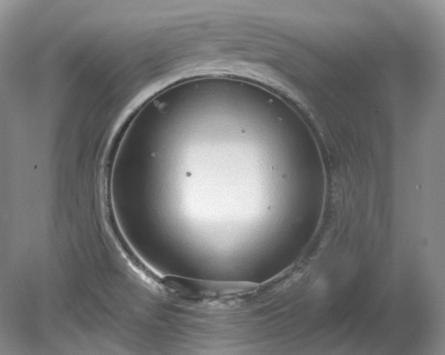 X0000078281517200611101120