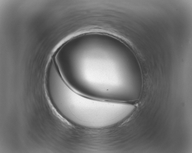 X0000078281518200611101120