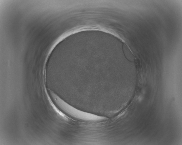 X0000078281519200611101120