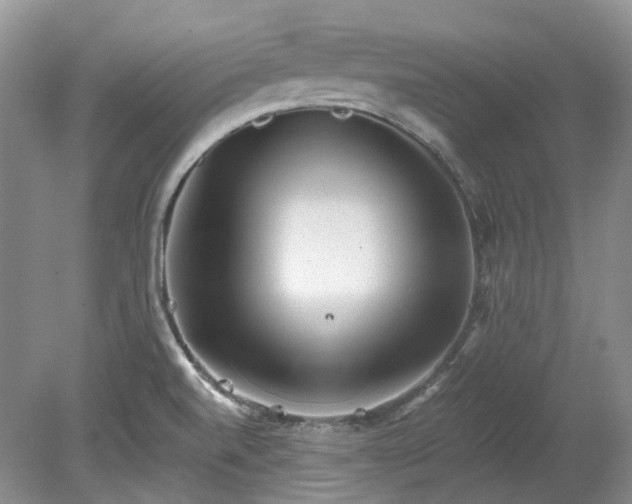 X0000078281520200611101120