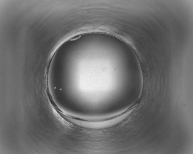 X0000078281524200611101120