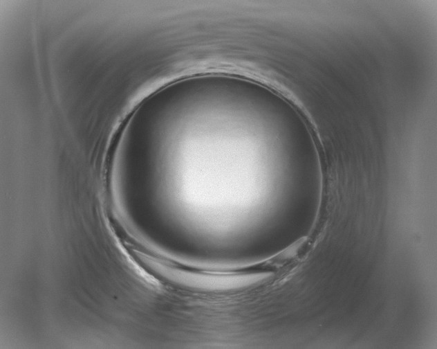 X0000078281525200611101120