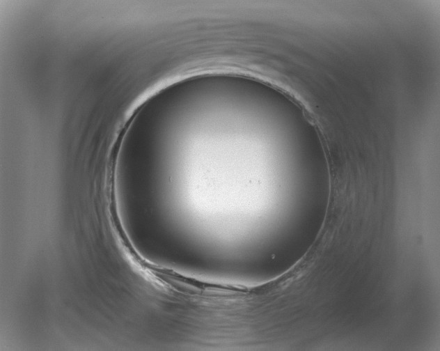 X0000078281526200611101120