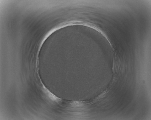 X0000078281527200611101120