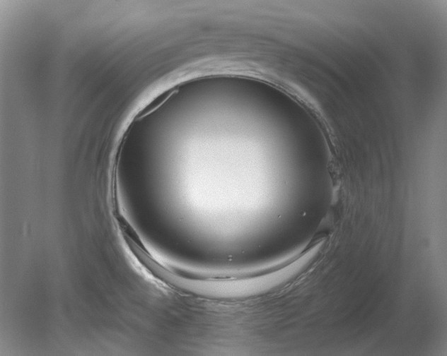 X0000078281528200611101120