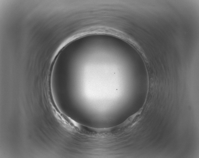 X0000078281530200611101120