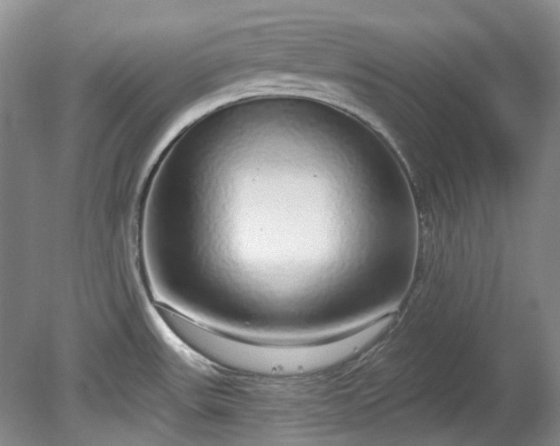 X0000078281531200611101120