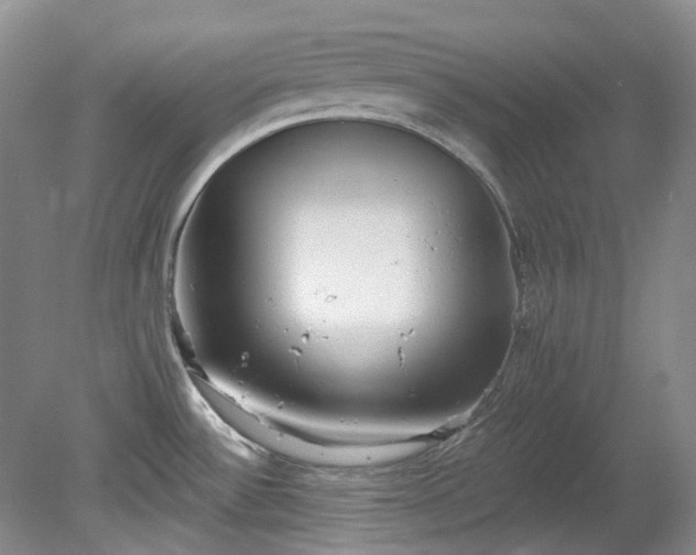 X0000078281532200611101120