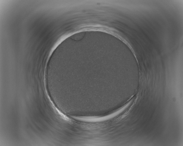 X0000078281533200611101120